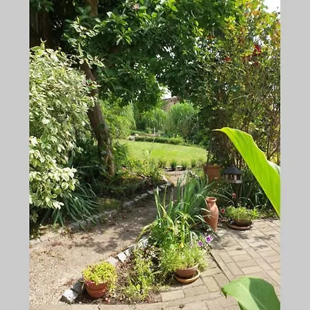 2 Zimmer Havelblick Und. Bootssteg Апартаменты
